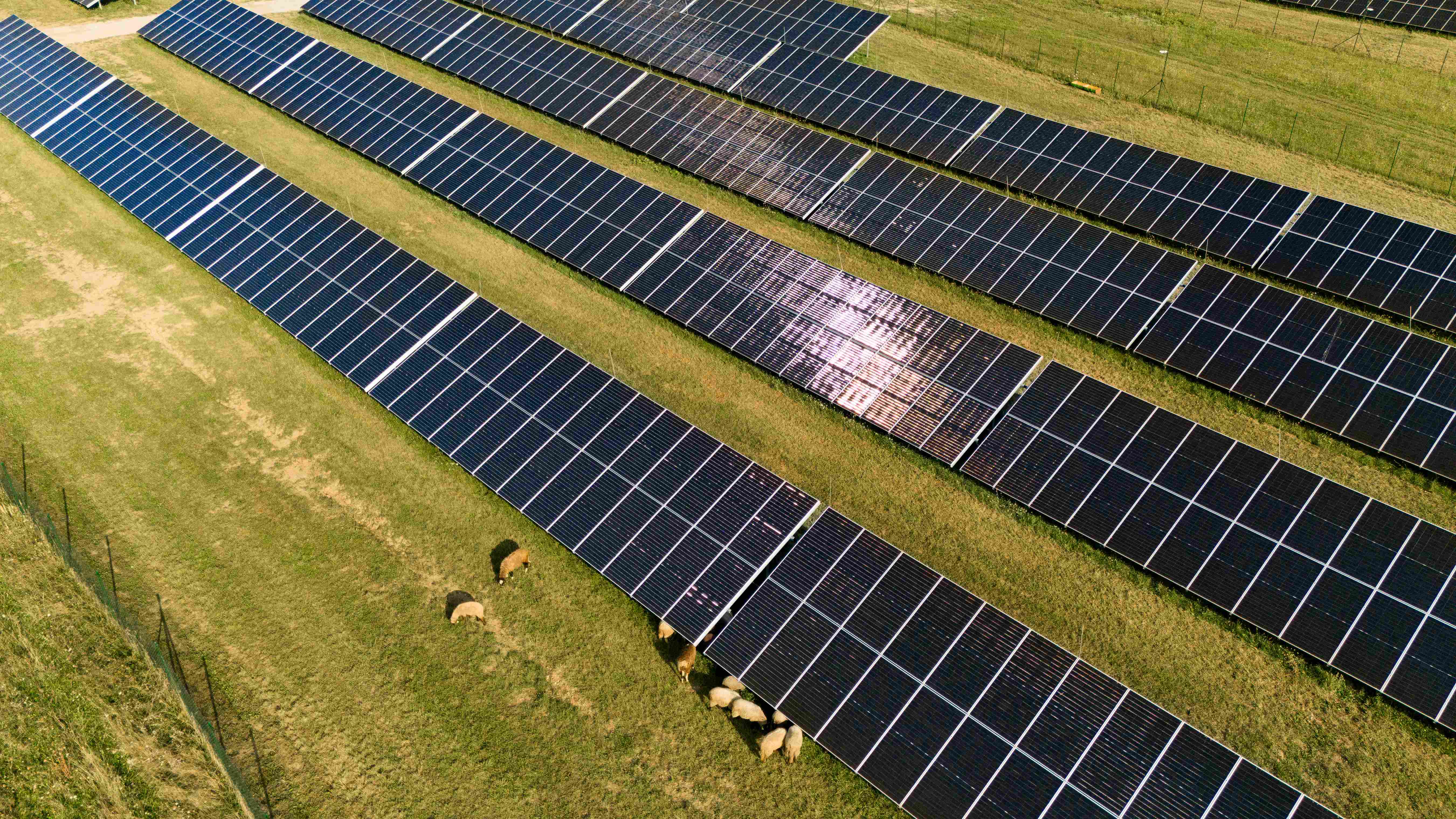 Pivovar Šariš prekonal ďalší míľnik na ceste za výrobou piva zo slnka. Pomohol vybudovať nový solárny park, ktorý je unikátnym príkladom využitia agrovoltiky na Slovensku